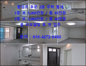 월세